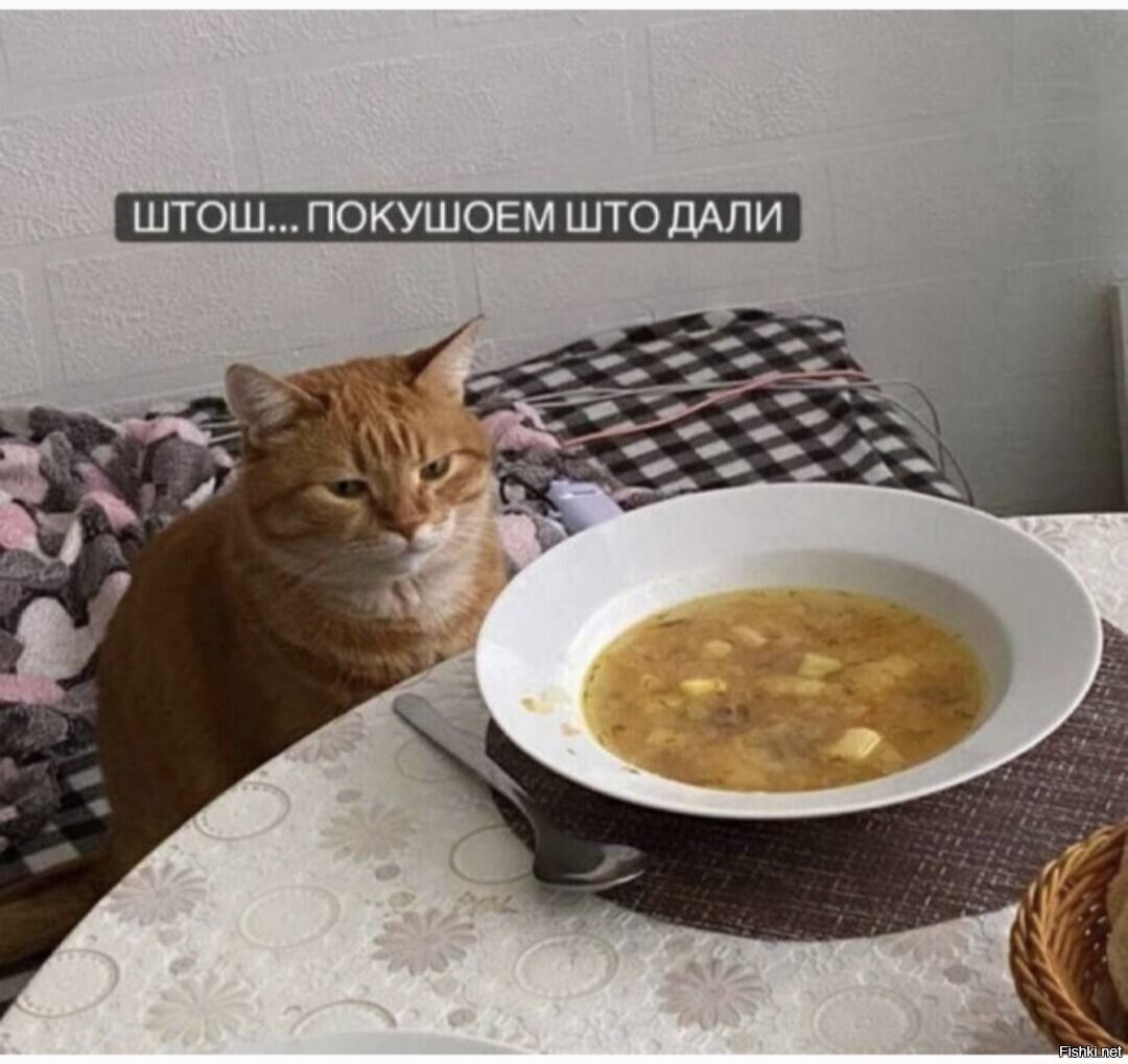 Солянка