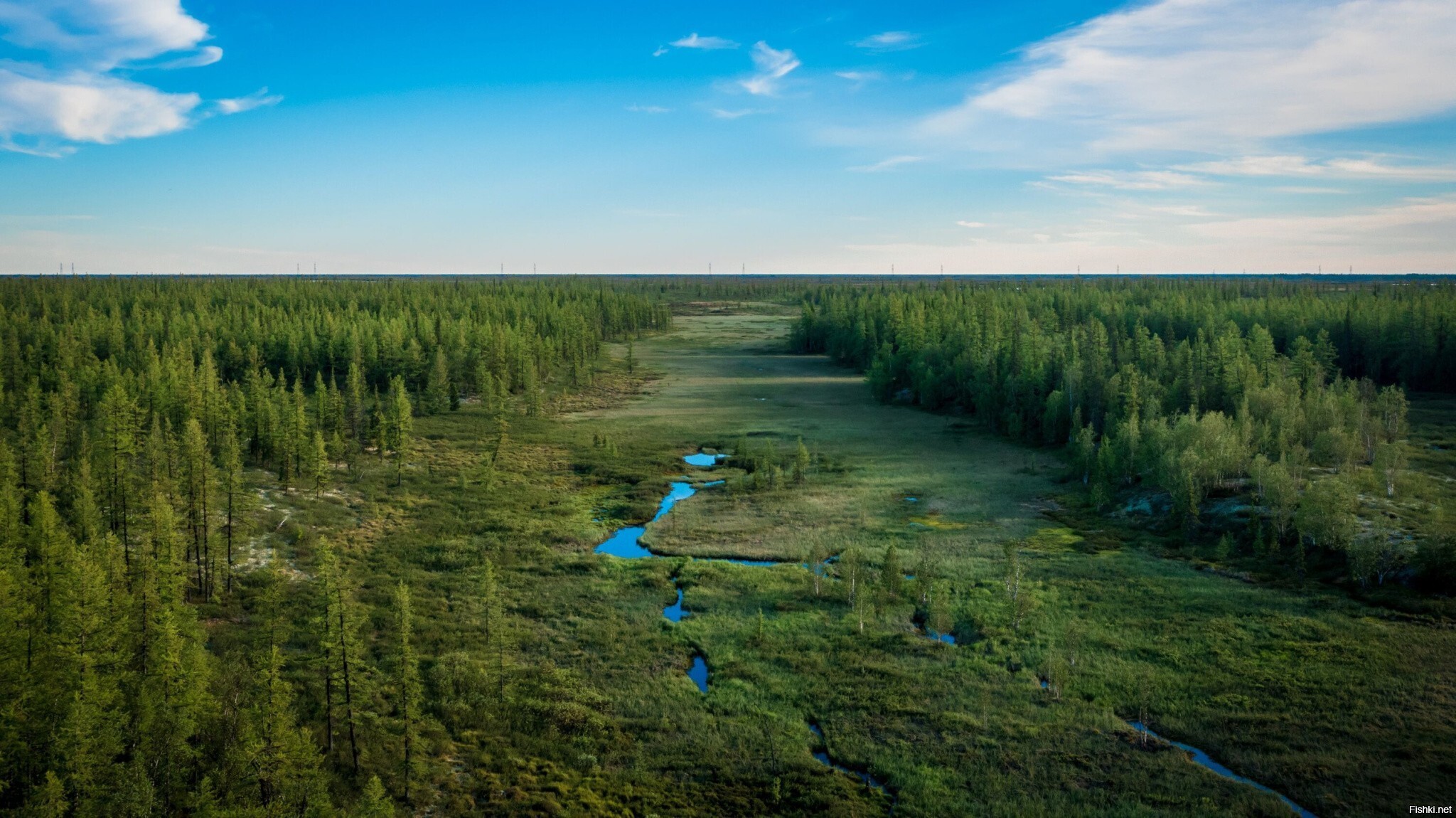 Тундра