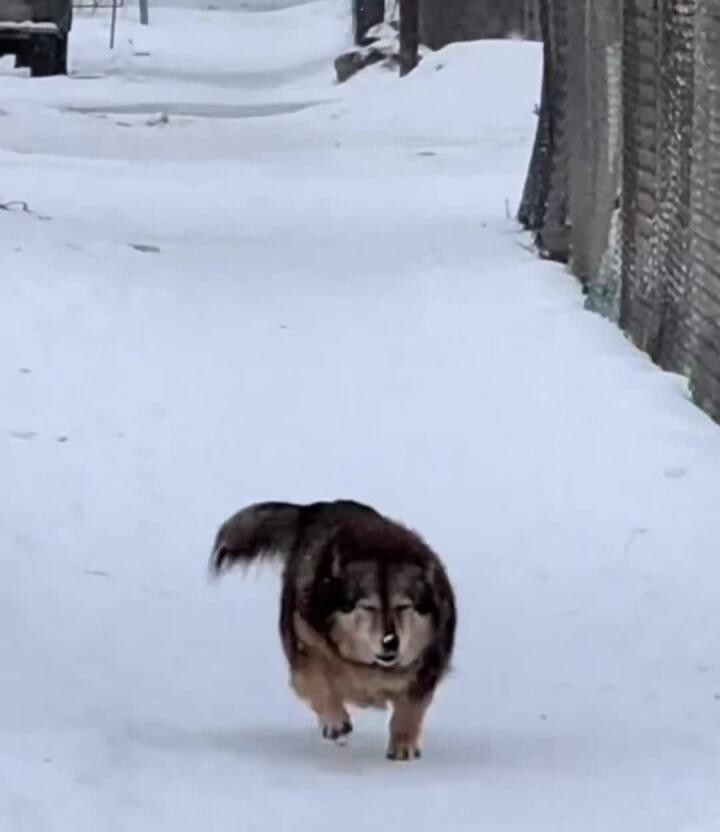 +3 к скорости