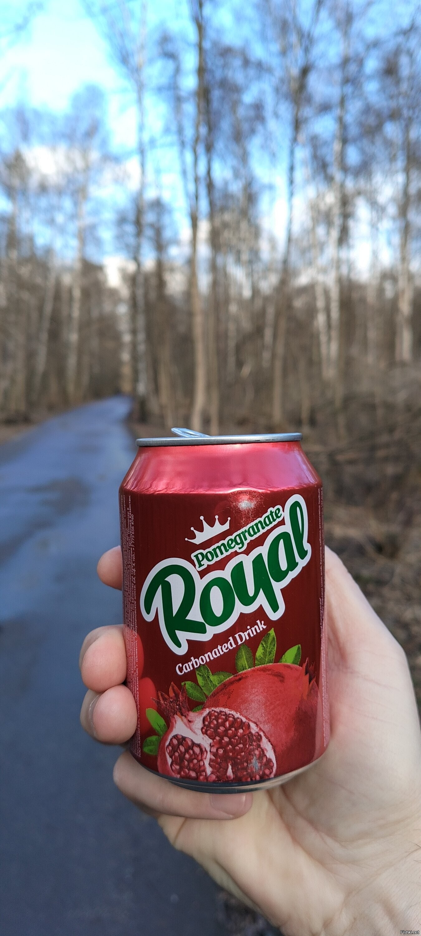 Хорошая газир