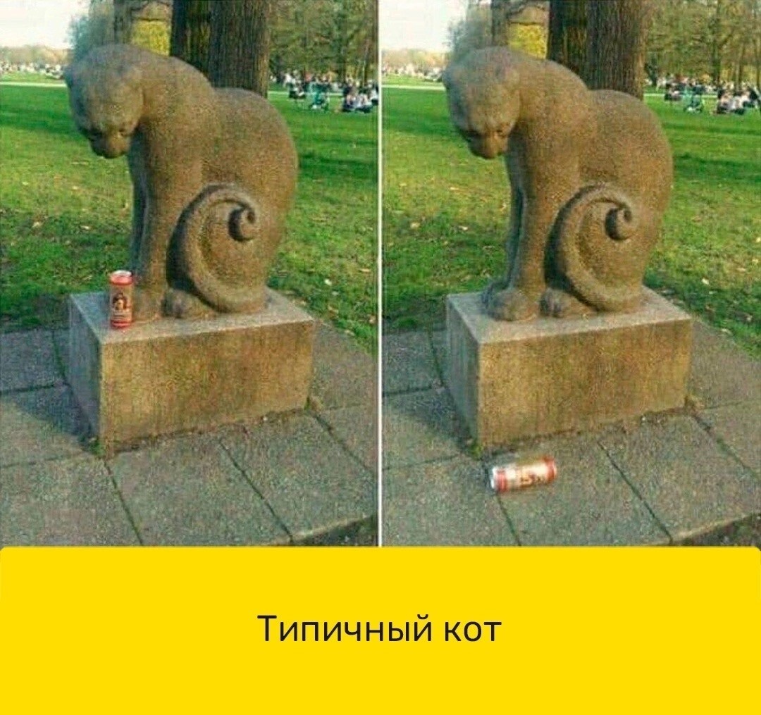 25 приколов