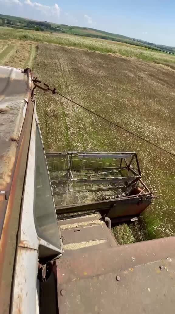 Трудяга