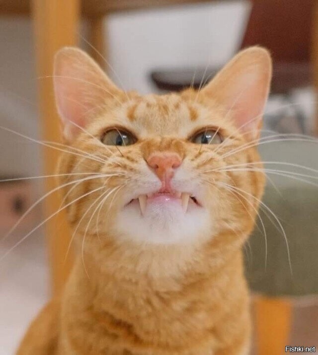 Фу