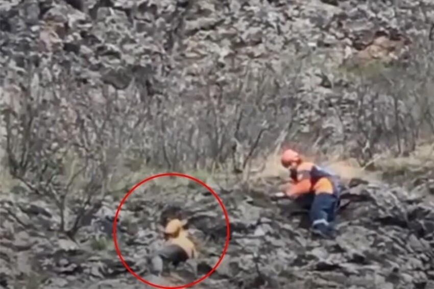 15 летний мальчик спас 100 человек. Человек срывается со скалы. Подросток сорвался со скалы.