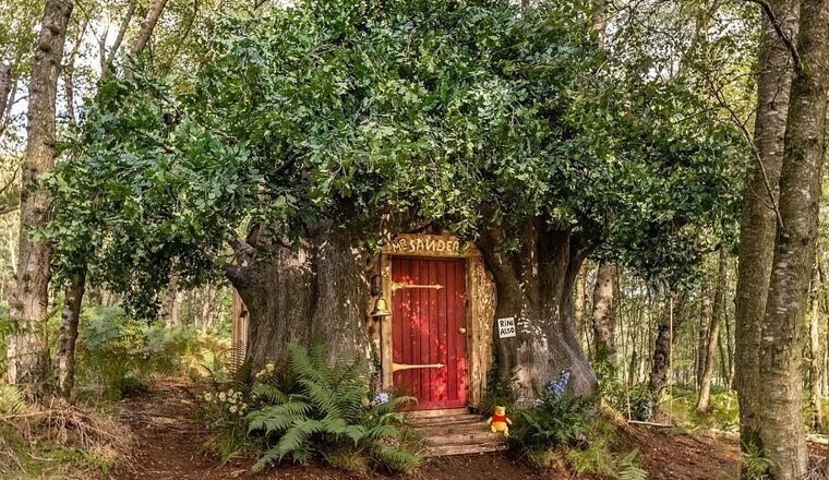 Компания Disney построила дом Винни-Пуха в английском лесу