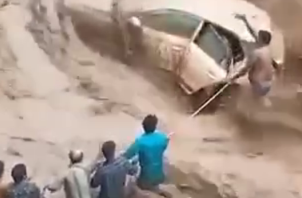 гтрк санкт-петербург. спас собаку из ледяной воды. спаси женщину 13 уровень. спасатель спасает девушку. викинги спасают женщин и ценности из горящей деревни.