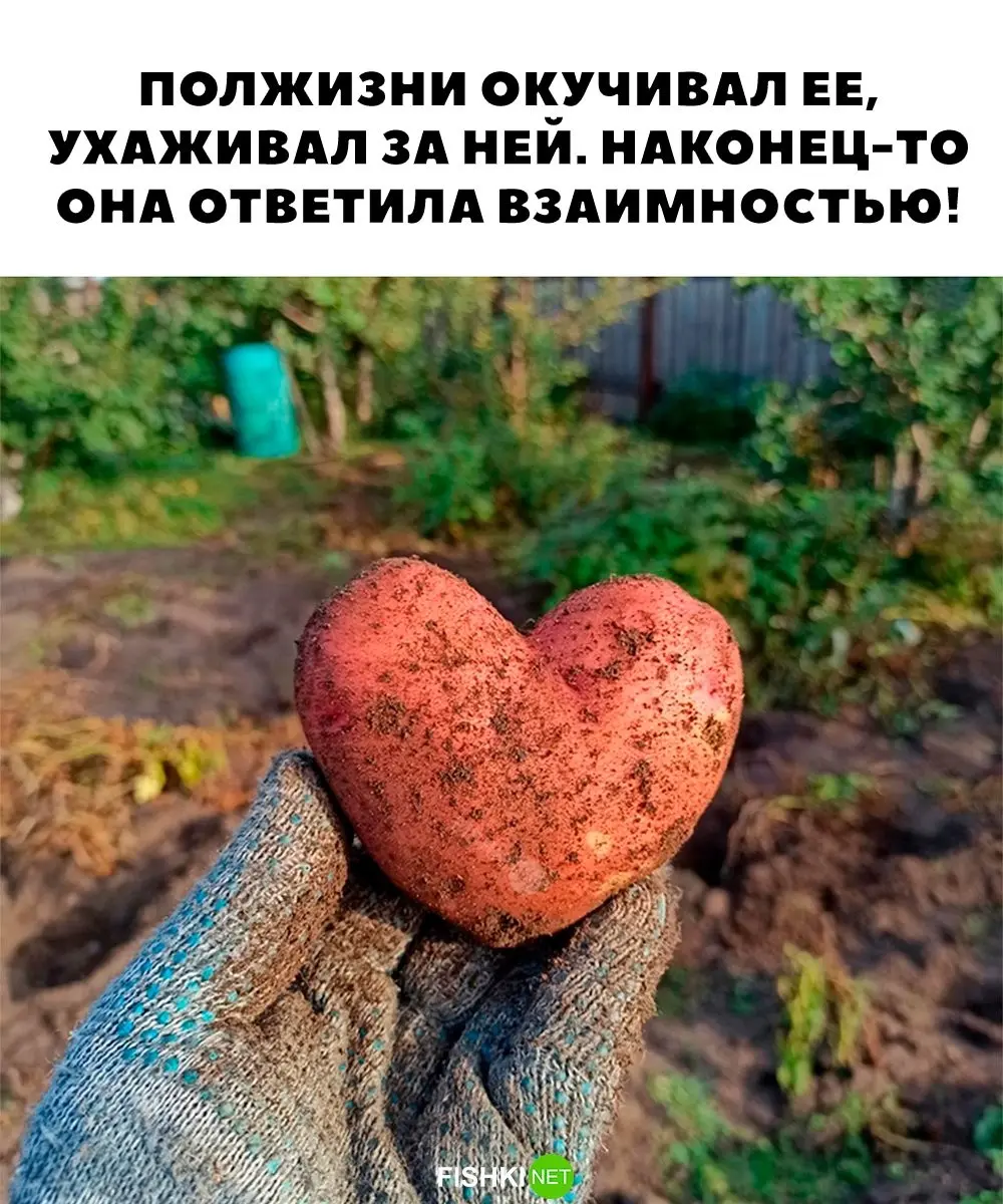 Fishki net зеркало