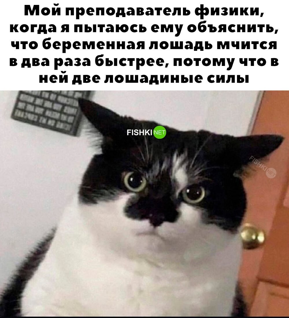 Заходи, поржОм