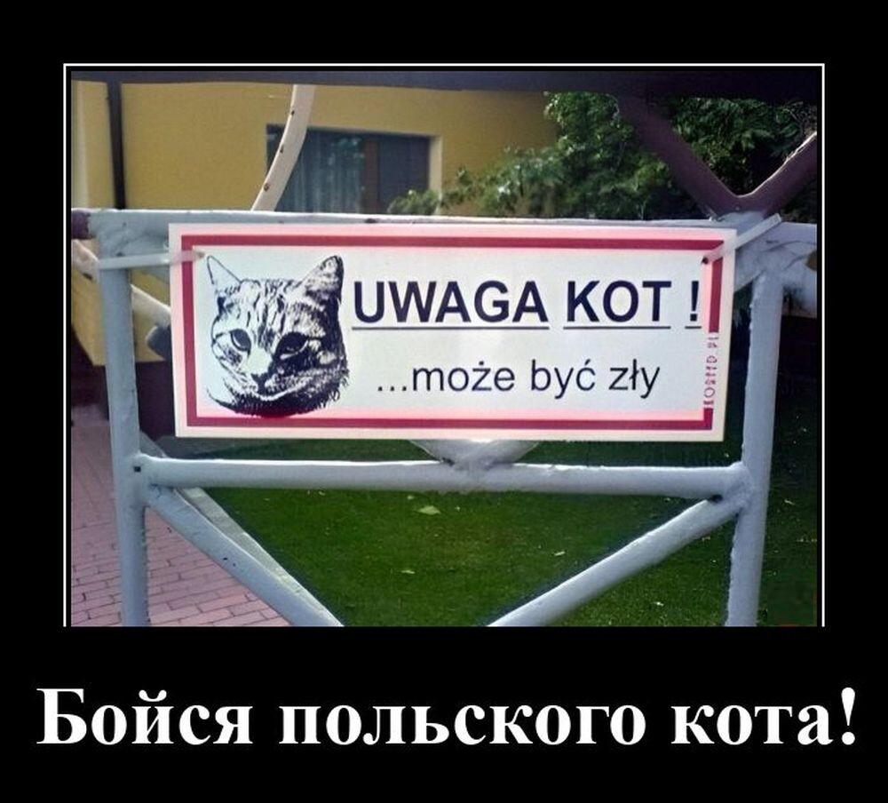 Демотиваторы на злобу дня