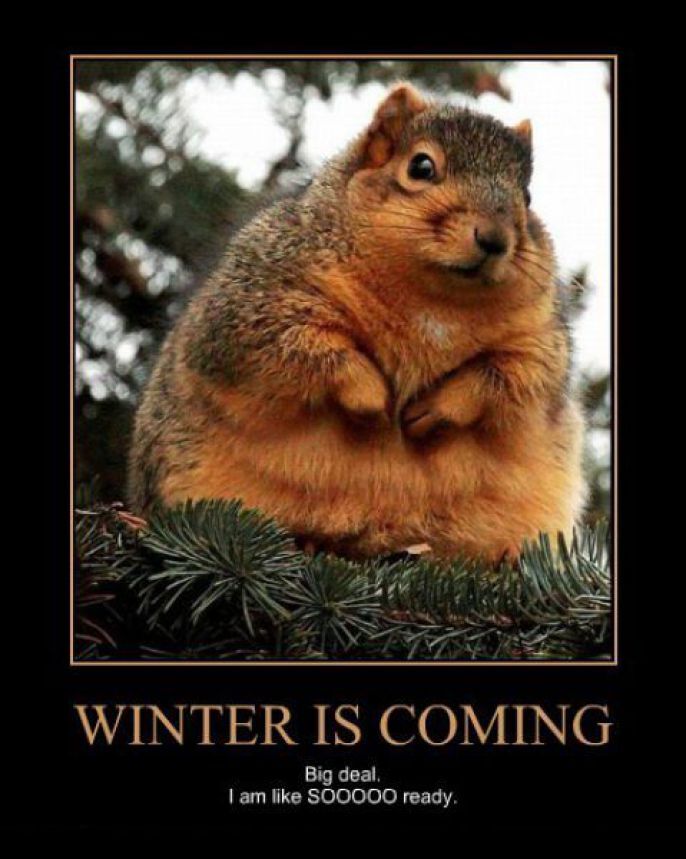Winters Coming 