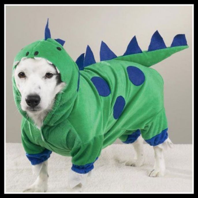 Cute Puppy costume 
