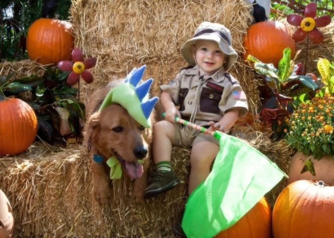 Dino Dog at the pumpkin patch 