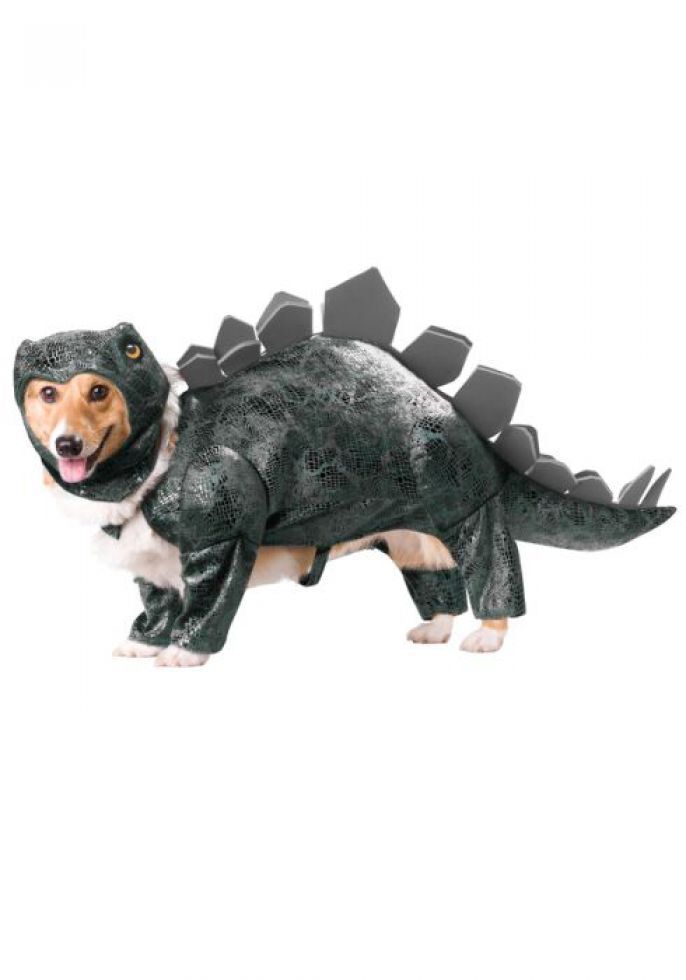 Dinosaur Doggy 