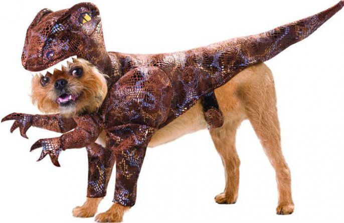Awesome Dog Costume 