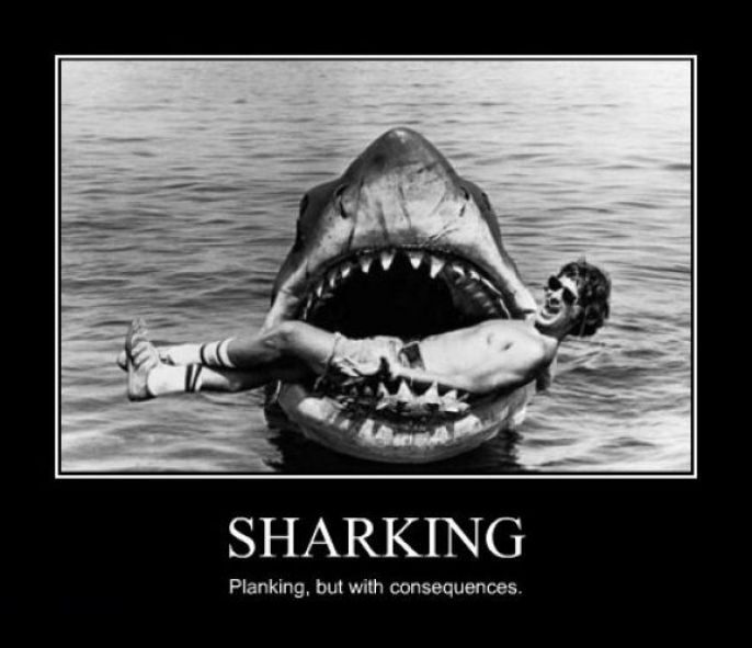 Sharking! 