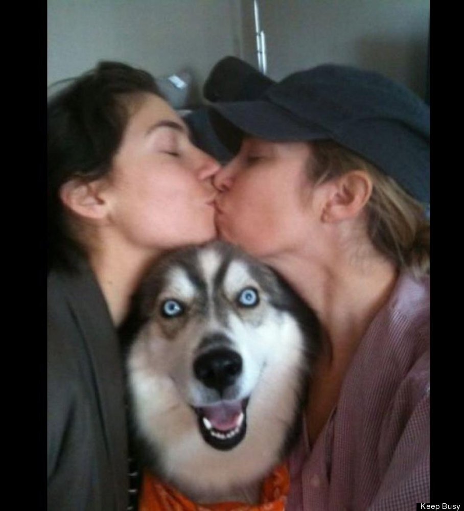 Dog gets in between a kiss photo 