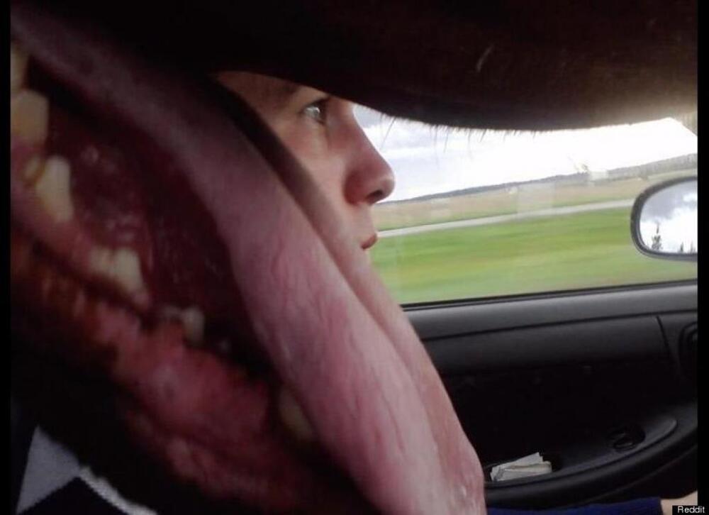 Car photo featuring a panting dog 