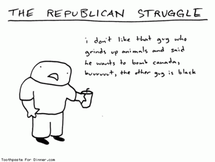 The Republican Struggle 