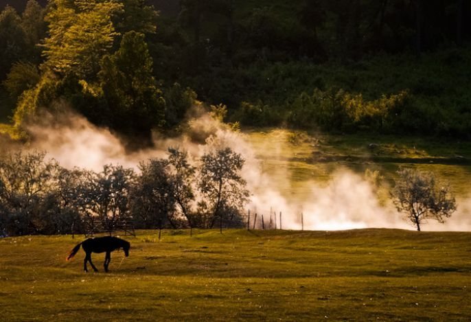 Mist in the morning 