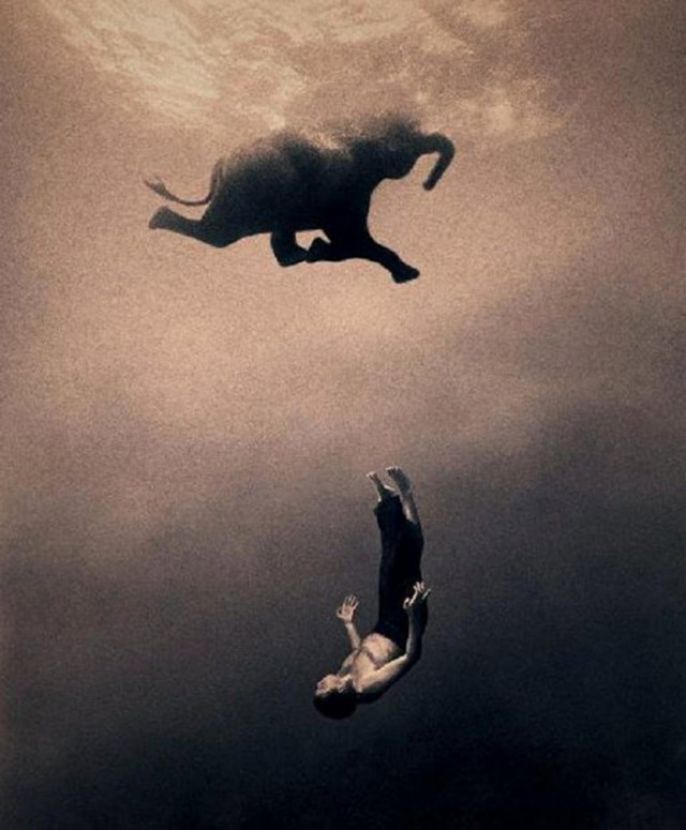Swimming under the elephant 