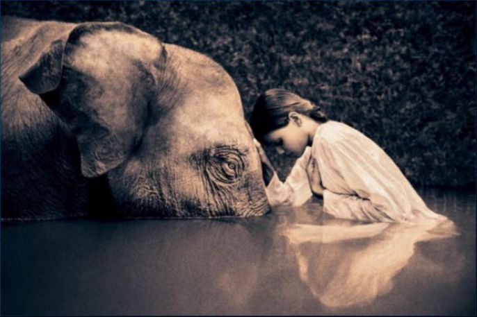 bathing with the elephant 
