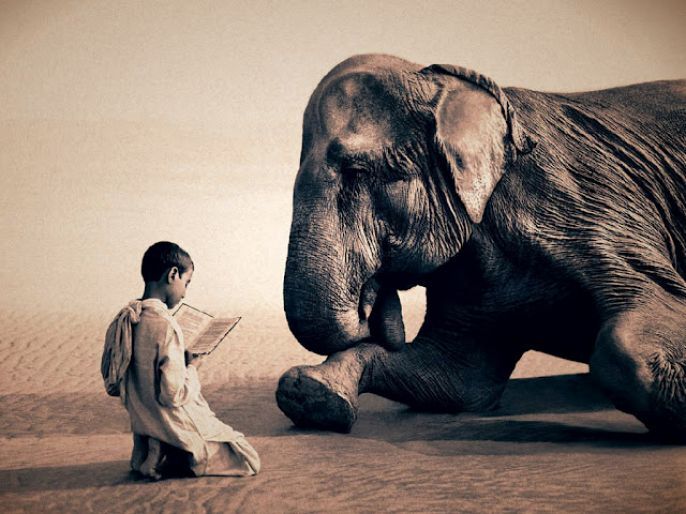 Boy Reads To Elephant 