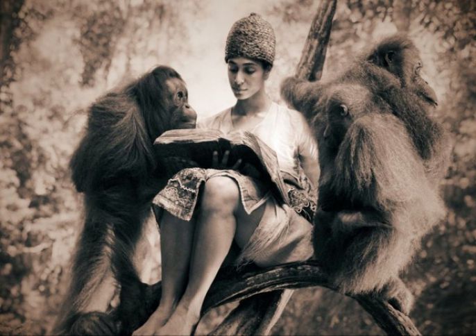 Reading to the orangutan 