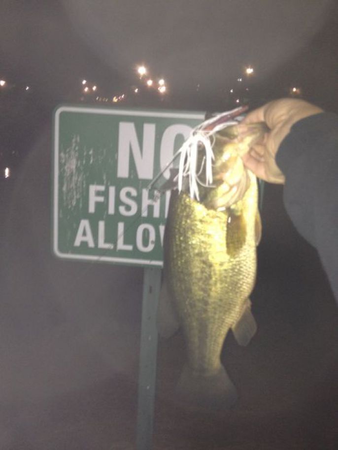 No Fishing 