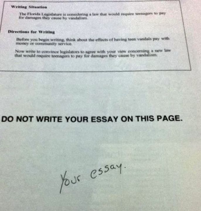 Your Essay 