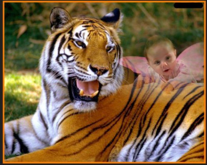Baby Ferry and Tiger 