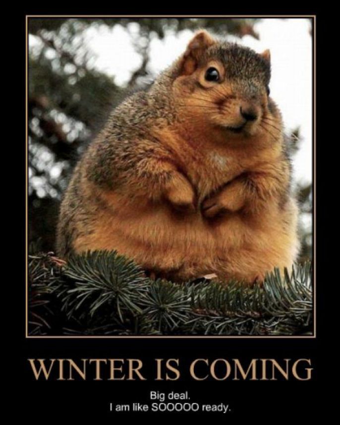 Winters Coming! 