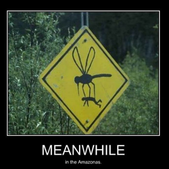 Giant Mosquitoes  