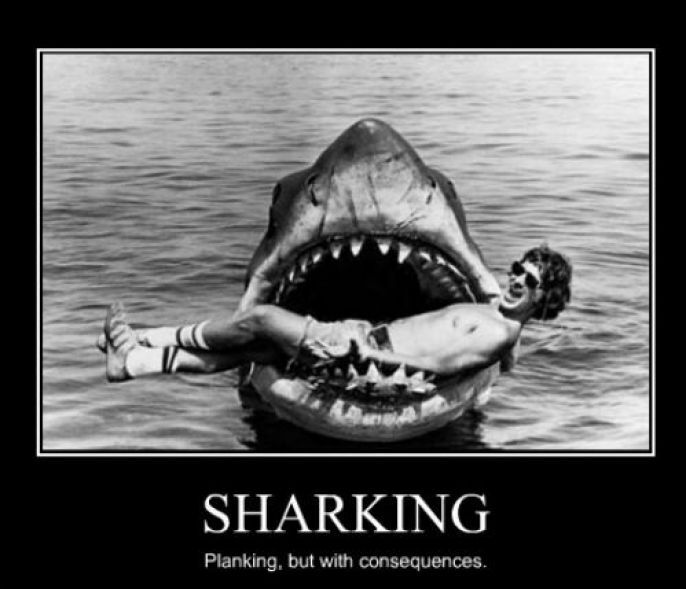 Sharking 