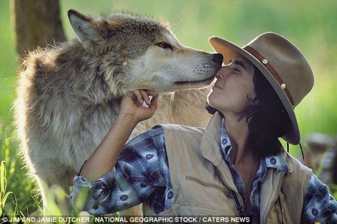 wolf kiss 