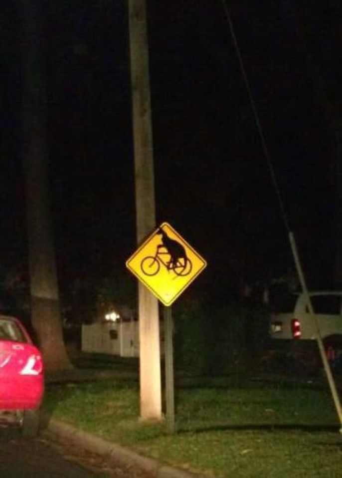 Caution Kangaroos Bike Riding 