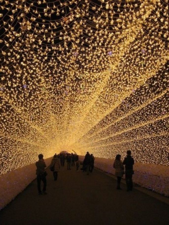 Thousands Of Lights 