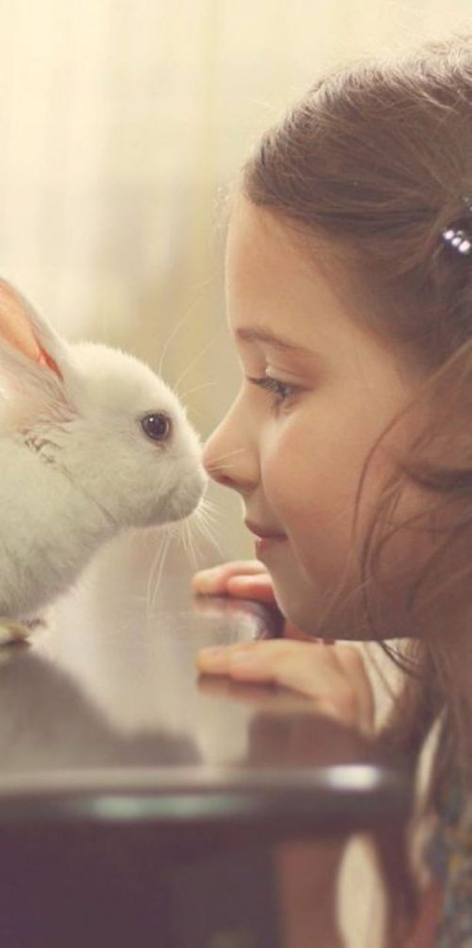 rabbit kisses 