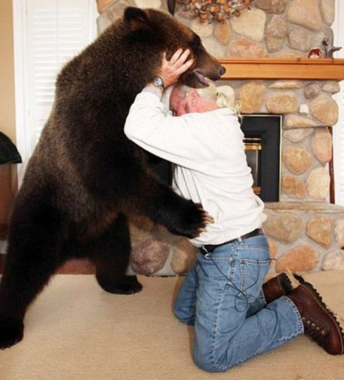 Bear Hug 