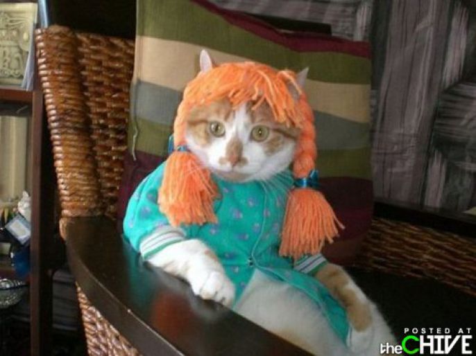 Costume cat 