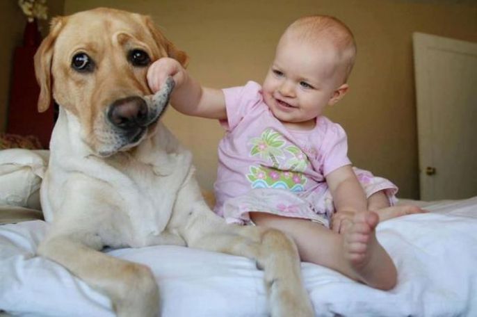 baby playing with dog 