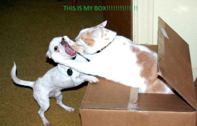 My Box! 