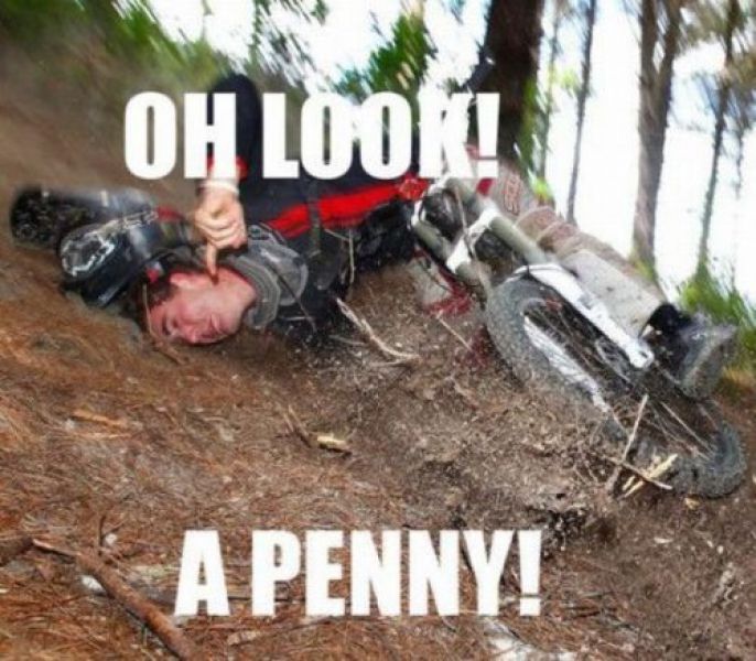 Look a Penny 