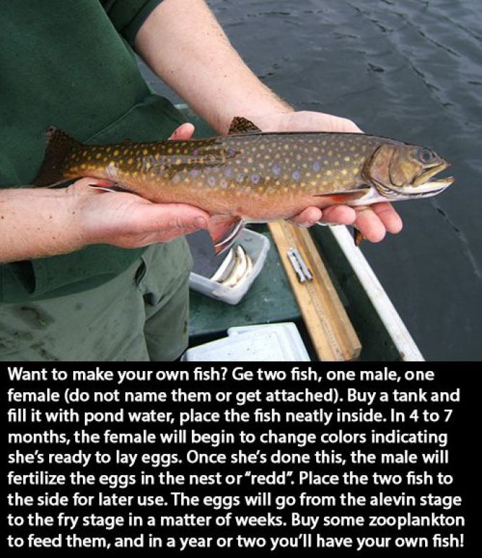 Fishing done right 
