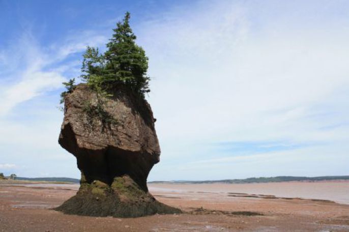 Rock topped with trees 