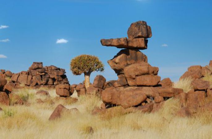 Tree and balanced Rocks 