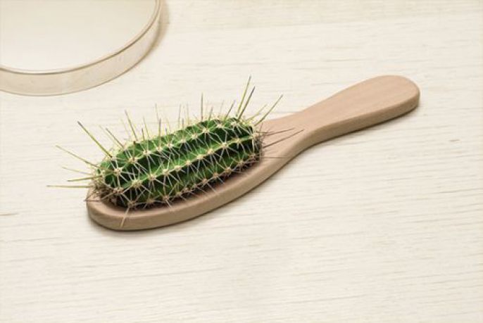 Cactus Brush 