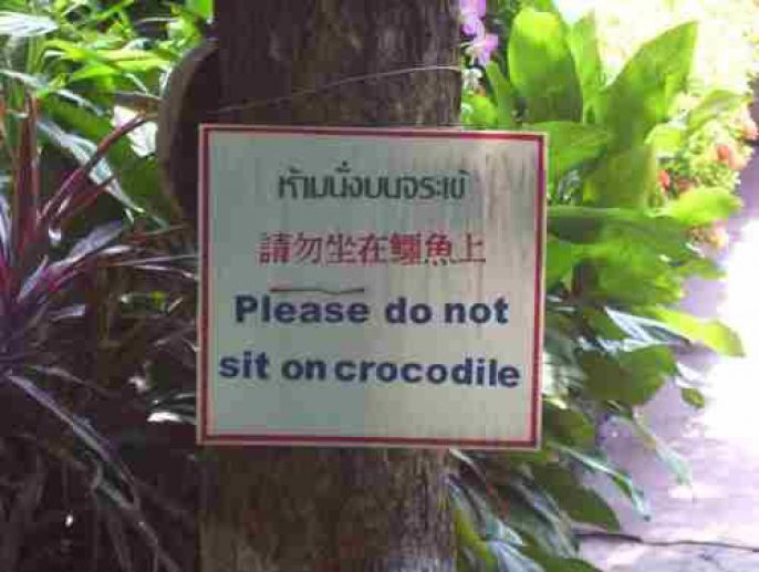 No Sitting on crocodiles 