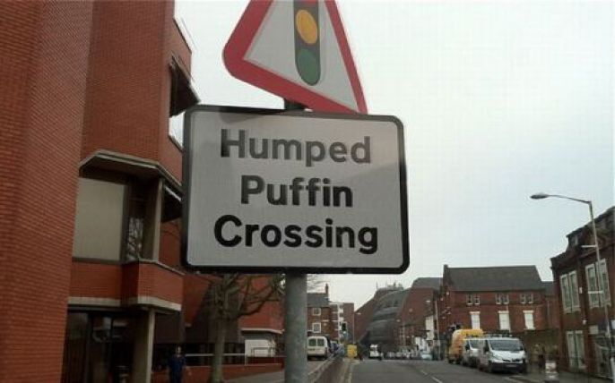 Puffin crossing 