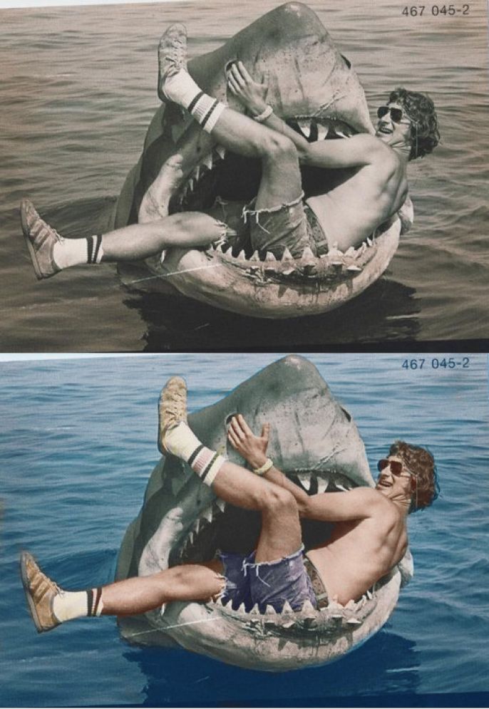 Shark Attack Photo Restored 