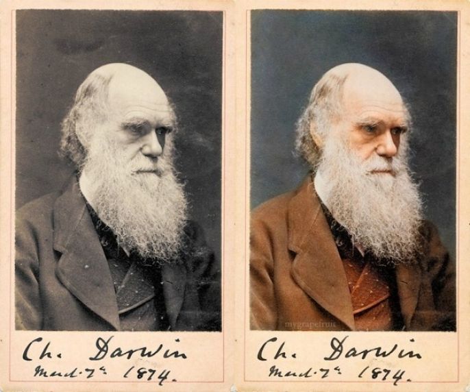 Charles Darwin Restored 